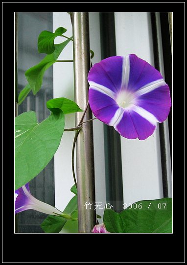 ���ȵ���������..P9,�����װ�~