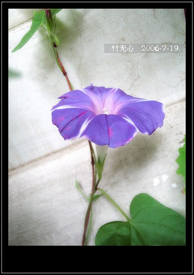 ���ȵ���������..P9,�����װ�~