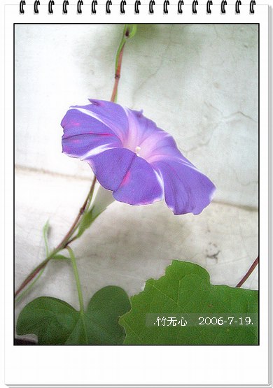 ���ȵ���������..P9,�����װ�~