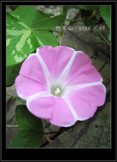 ���ȵ���������..P9,�����װ�~