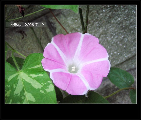 ���ȵ���������..P9,�����װ�~