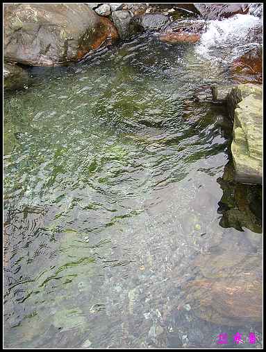 ũ��СԺ�Ĵ�����,��������������