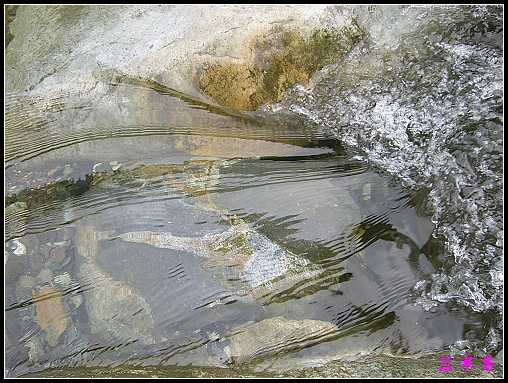 ũ��СԺ�Ĵ�����,��������������