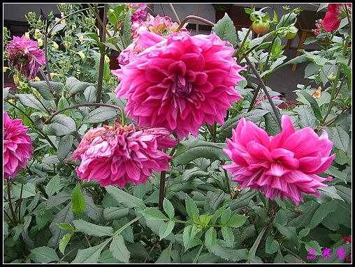 ũ��СԺ�Ĵ�����,��������������