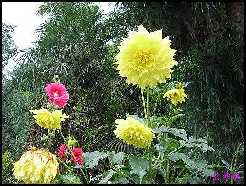 ũ��СԺ�Ĵ�����,��������������