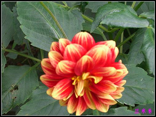 ũ��СԺ�Ĵ�����,��������������