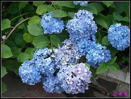 ũ��СԺ�Ĵ�����,��������������