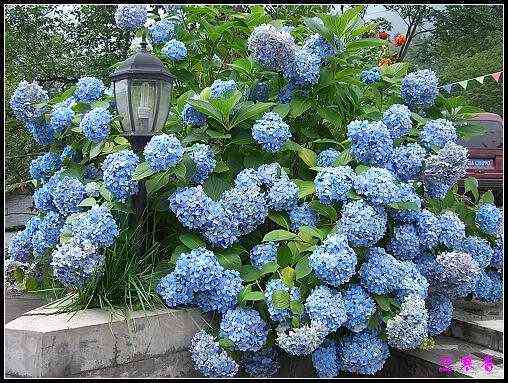 ũ��СԺ�Ĵ�����,��������������