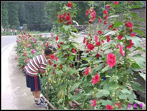 ũ��СԺ�Ĵ�����,��������������