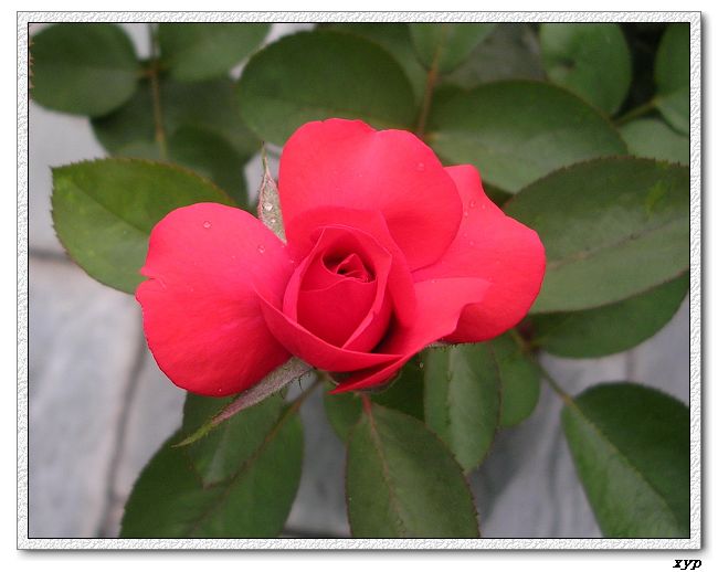 �Ҽһ��ڿ������¼�