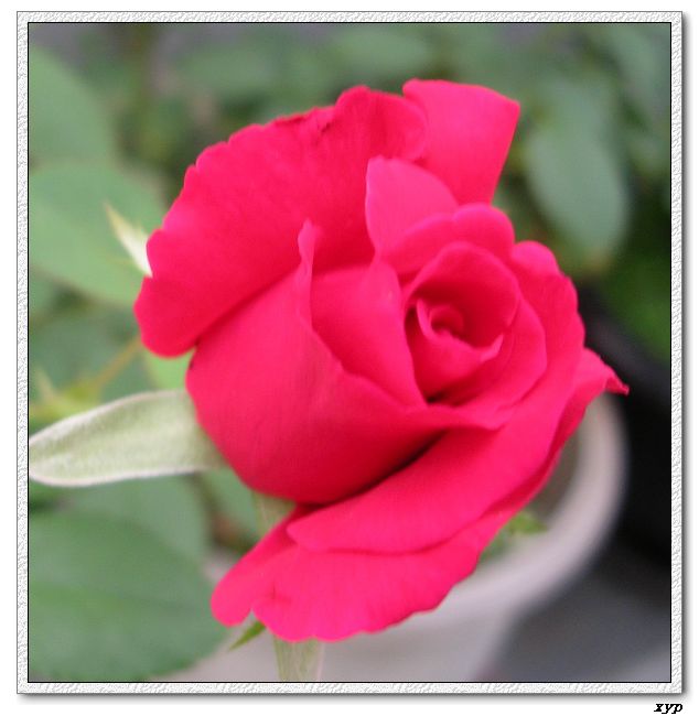 �Ҽһ��ڿ������¼�