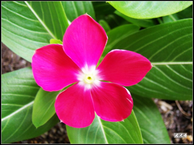 5���Ź��Ĵ����ͷ��޷��ɣ�������3¥��5¥��