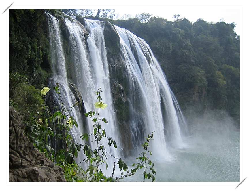 ��Ӱ��Ʒ�����������ң�