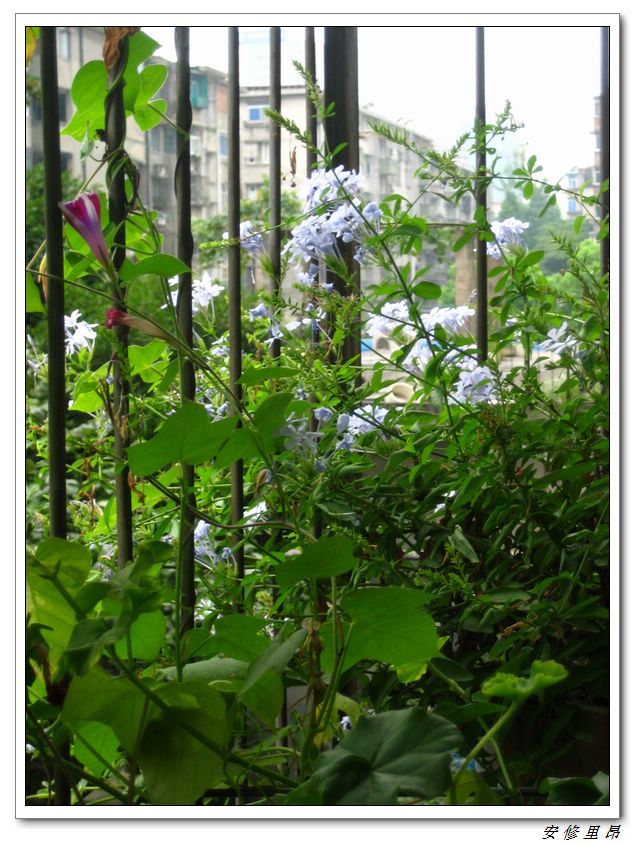 ��78�����̨(������)