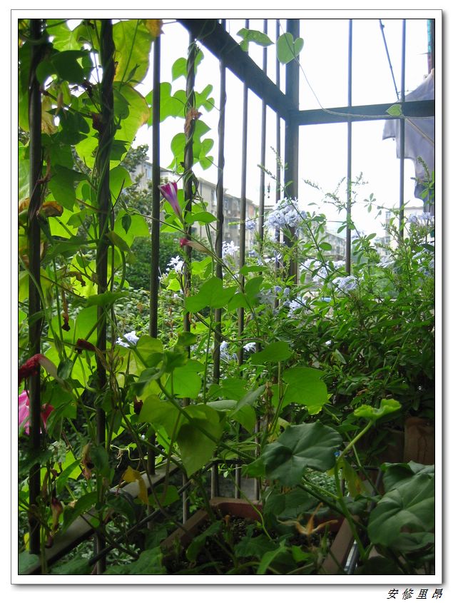 ��78�����̨(������)