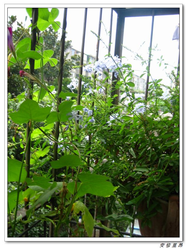 ��78�����̨(������)