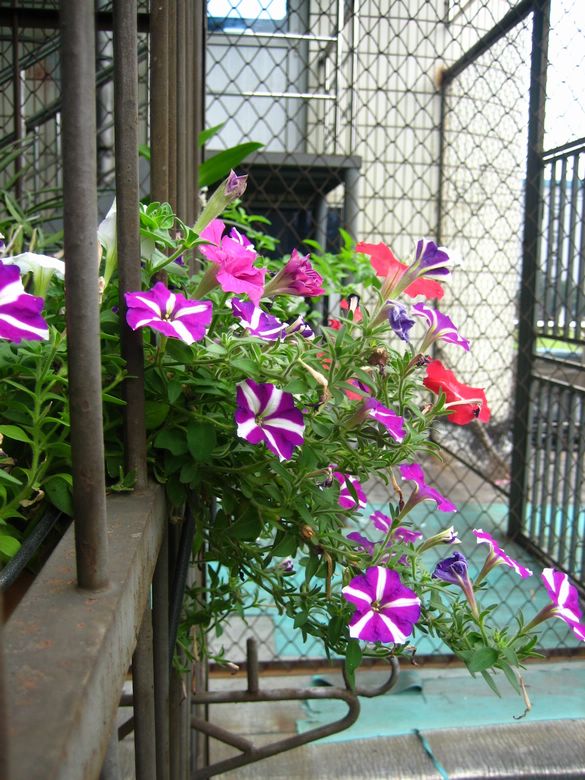 ��78�����̨(������)