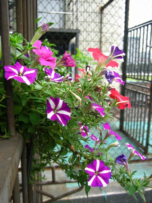 ��78�����̨(������)