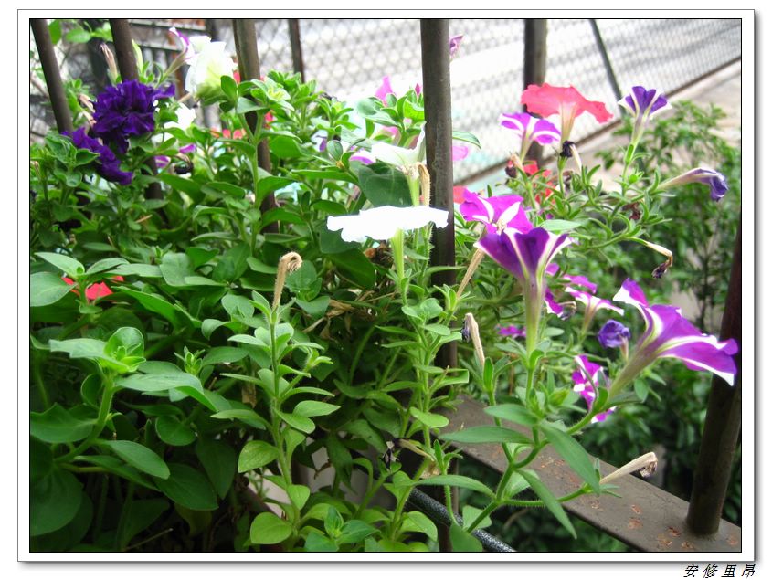 ��78�����̨(������)