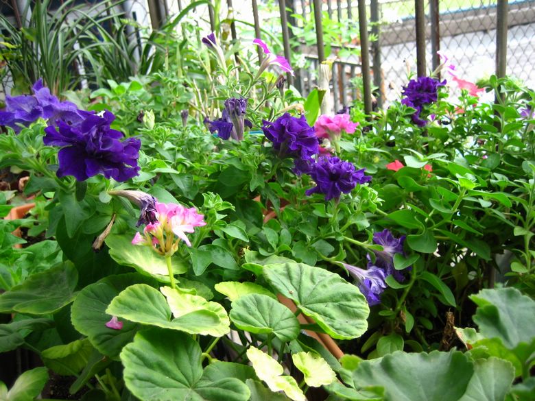 ��78�����̨(������)