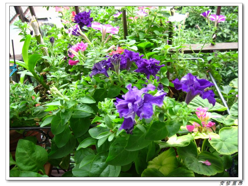 ��78�����̨(������)