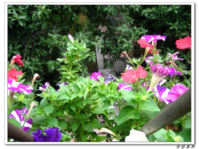 ��78�����̨(������)