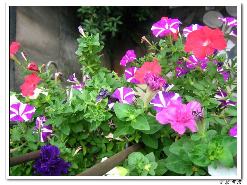 ��78�����̨(������)