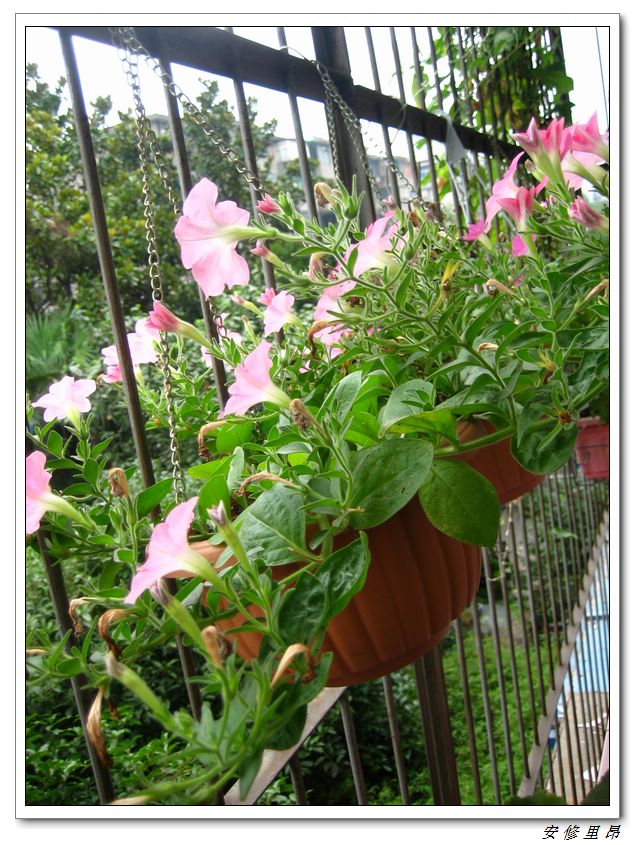 ��78�����̨(������)