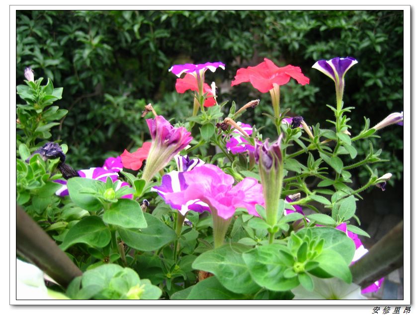 ��78�����̨(������)