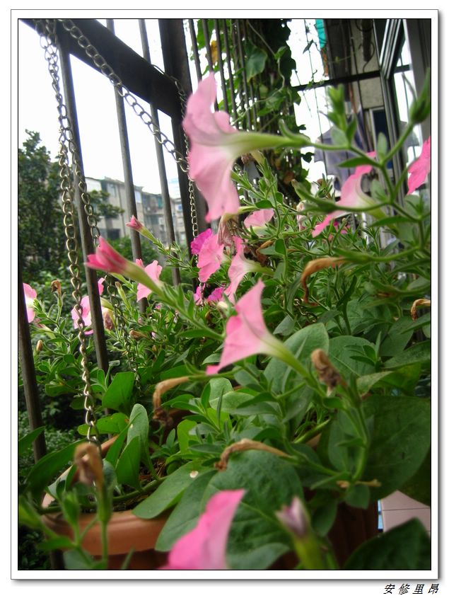 ��78�����̨(������)