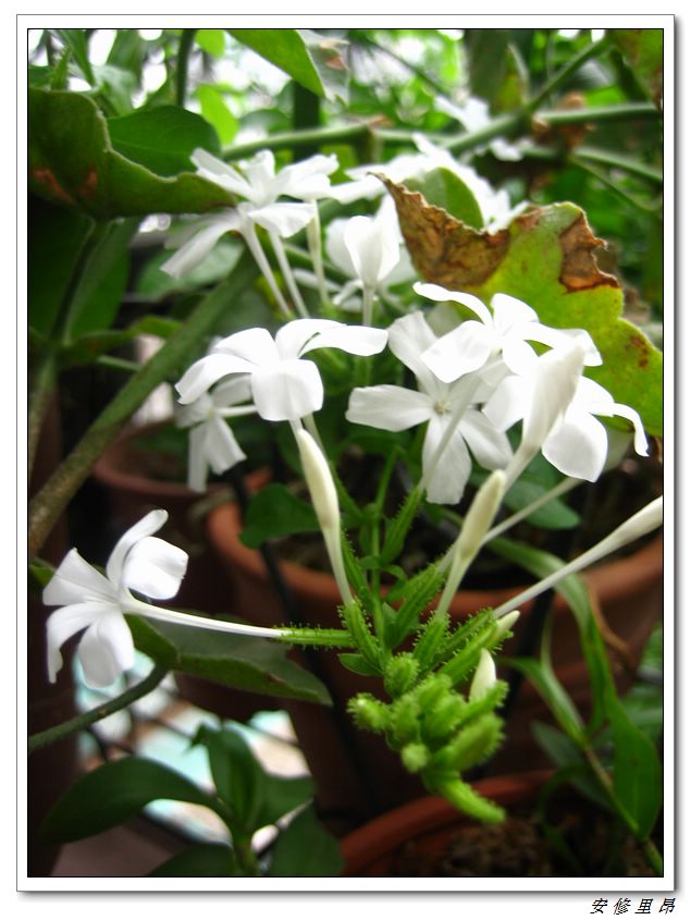 ��78�����̨(������)