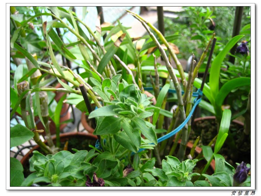 ��78�����̨(������)