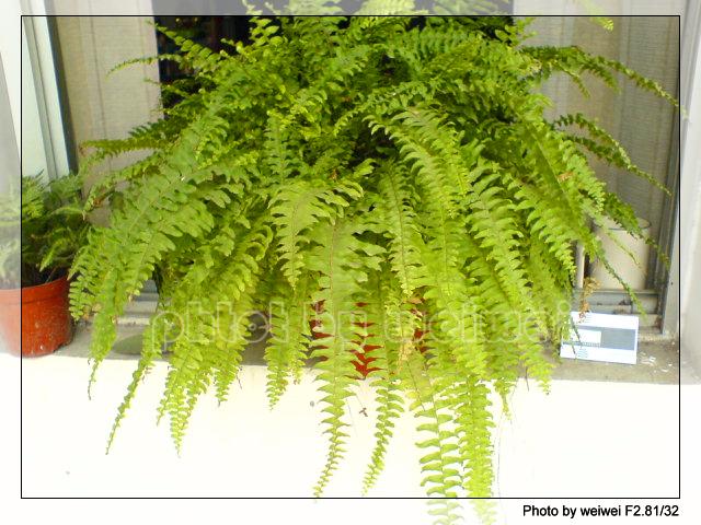 ���N�Nާ������