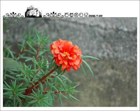 �����İ�֧�������£���ѫ�¾�