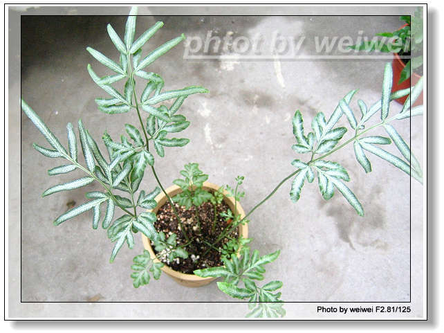 ���N�Nާ������