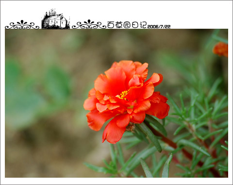 �����İ�֧�������£���ѫ�¾�