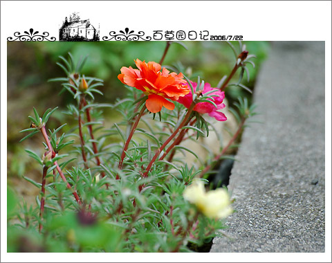 �����İ�֧�������£���ѫ�¾�