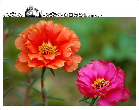 �����İ�֧�������£���ѫ�¾�