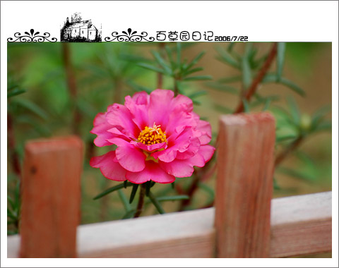 �����İ�֧�������£���ѫ�¾�