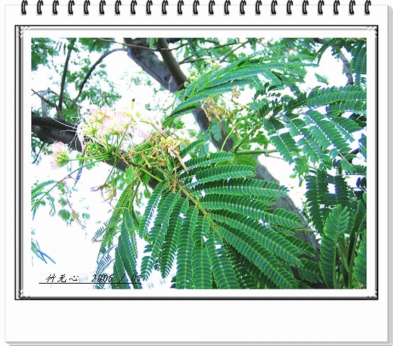 �ϻ�~���ڶ�ҳ...