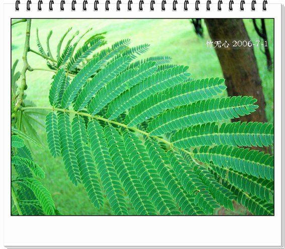 �ϻ�~���ڶ�ҳ...