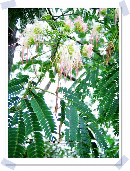 �ϻ�~���ڶ�ҳ...