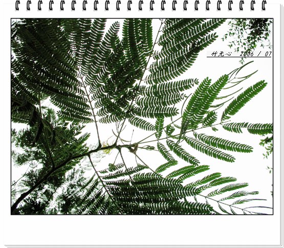 �ϻ�~���ڶ�ҳ...