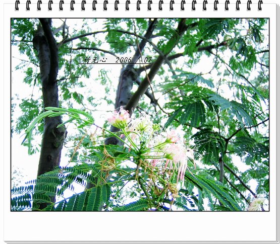 �ϻ�~���ڶ�ҳ...