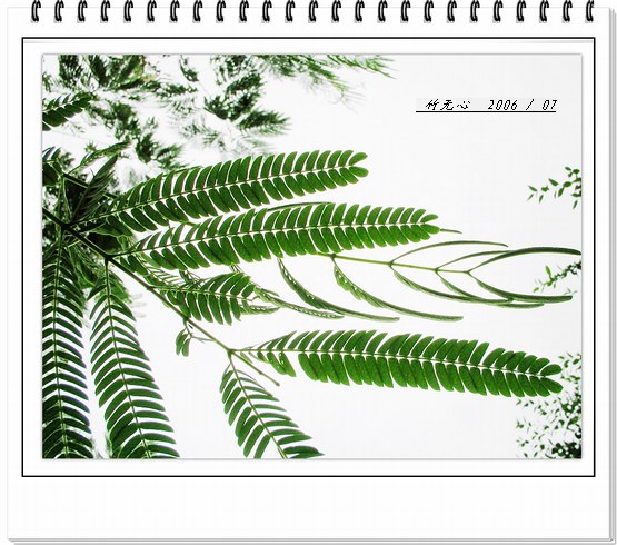 �ϻ�~���ڶ�ҳ...