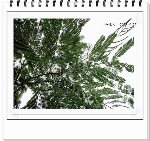 �ϻ�~���ڶ�ҳ...