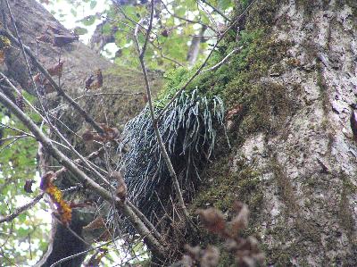 ���N�Nާ������