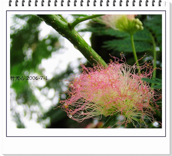 �ϻ�~���ڶ�ҳ...