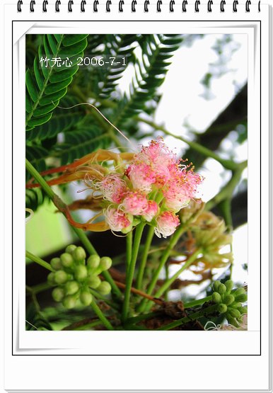 �ϻ�~���ڶ�ҳ...