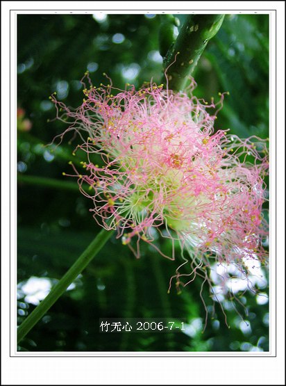 �ϻ�~���ڶ�ҳ...